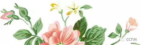 口臭比脚臭还恶心教你一招,口臭屎臭怎么办