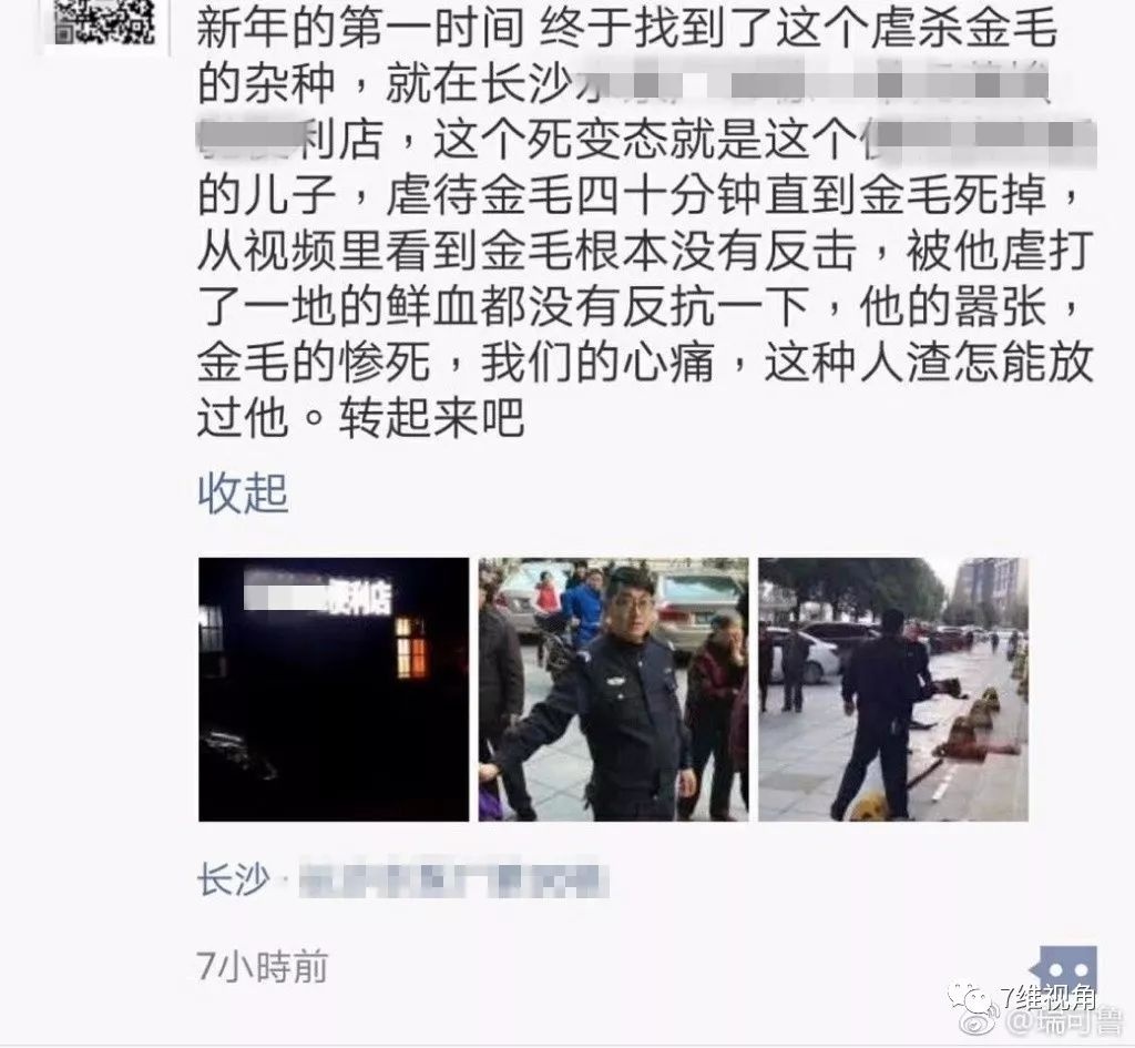 极端爱狗人士袭击动物园,极端爱狗人士后续