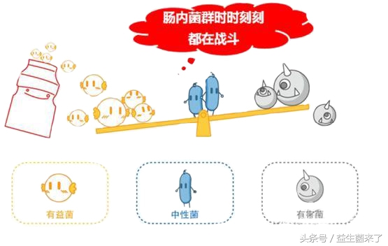粉状益生菌需要低温保存吗,活性益生菌适宜储存温度