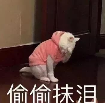 香港真的有很多假货吗,香港假货
