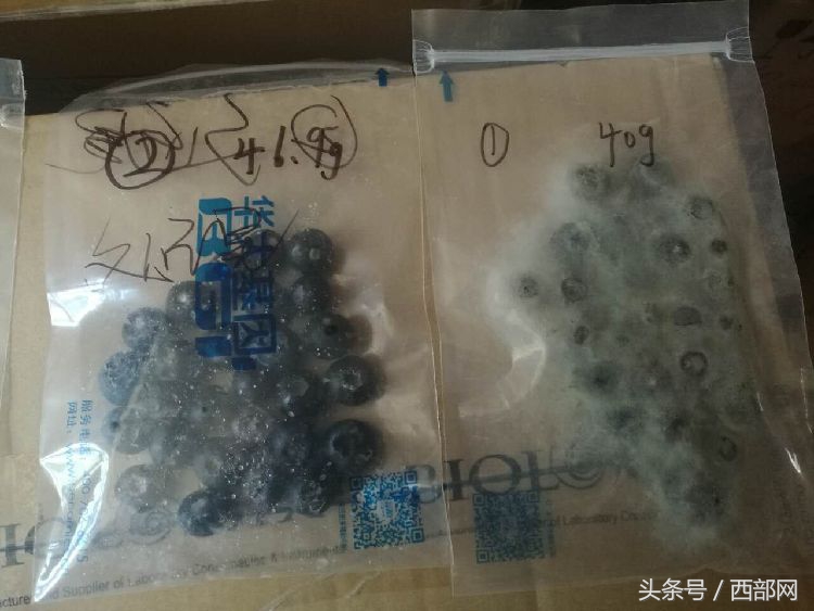 天然抗菌肽的研究进展及药品应用,海归博士研发治癌设备