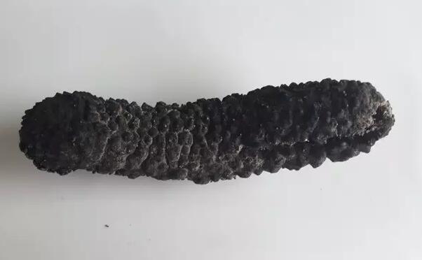 海参有上千种都是一样的吗,全世界海参有多少品种