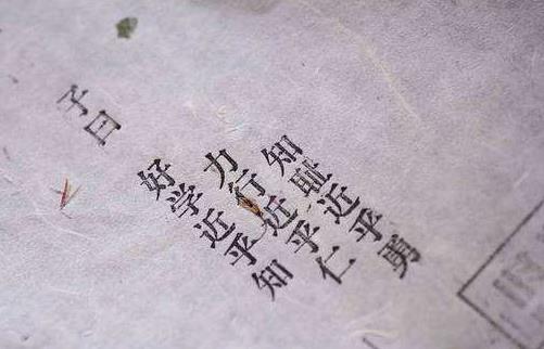 刘梦溪学问如何,刘梦溪先生谈国学