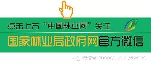 古树名木摄影作品欣赏,美丽中国评选大赛