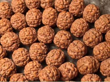 六瓣金刚菩提与七瓣金刚菩提,金刚菩提六瓣20mm的多少钱