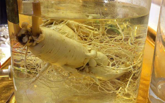 鹿茸枸杞酒泡制配方,人参枸杞酒古法泡制