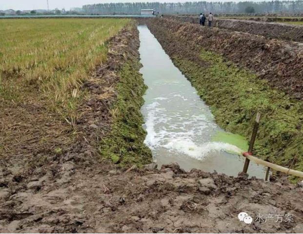 小龙虾养殖塘如何建设,养小龙虾田怎样建塘为好