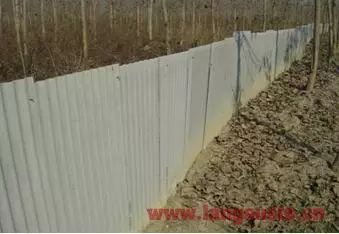 小龙虾养殖塘如何建设,养小龙虾田怎样建塘为好