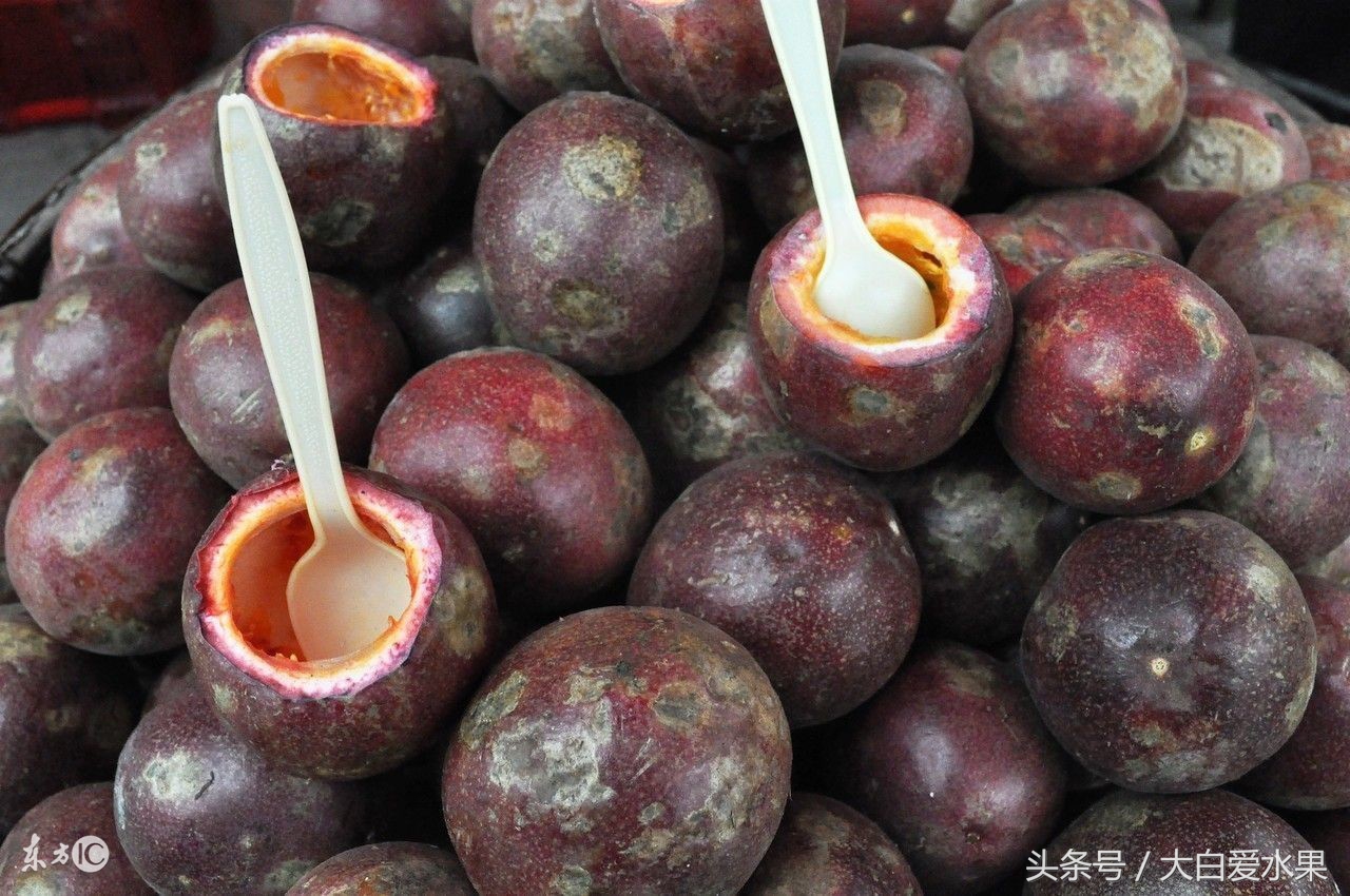 皱皮百香果可以泡水吗,黄色百香果越皱皮越好吃吗