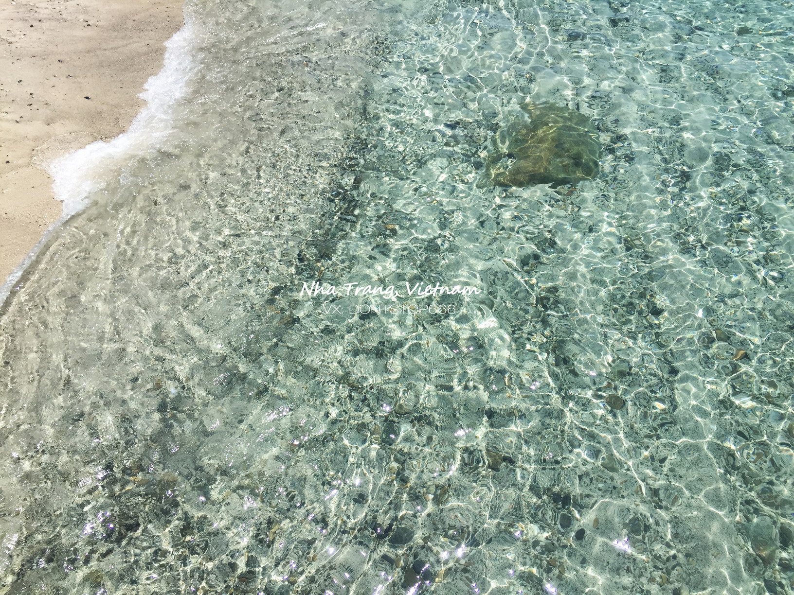 芽庄大海之旅,芽庄海上之旅