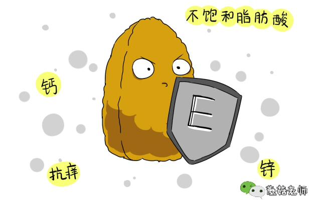 增加精子活力和生精的食物,什么食物有助于精子卵子提升