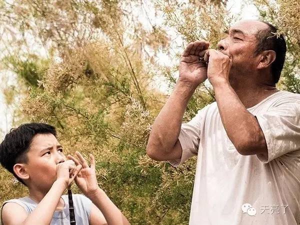 百鸟朝凤场面出乎我的意料,我们这个时代的尴尬说到内心里去