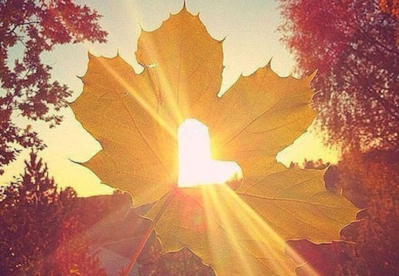 叶紫莹：心灵上的衰老