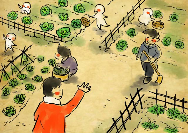 新农村日记｜QQ农场主孙健：这儿有令人向往的田园生活