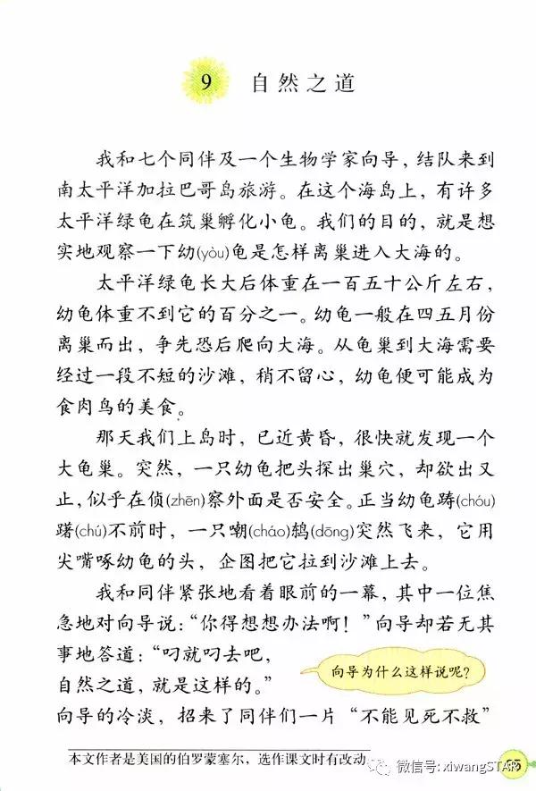 寒假预习复习人教版资料,四年级下册语文书电子版预习