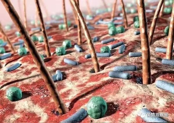 皮肤健康的守护神拔毒止痒王,皮肤守护神药膏臭吗