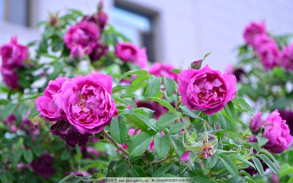 唯美意境古诗词大全简短,冬天唯美意境古诗词