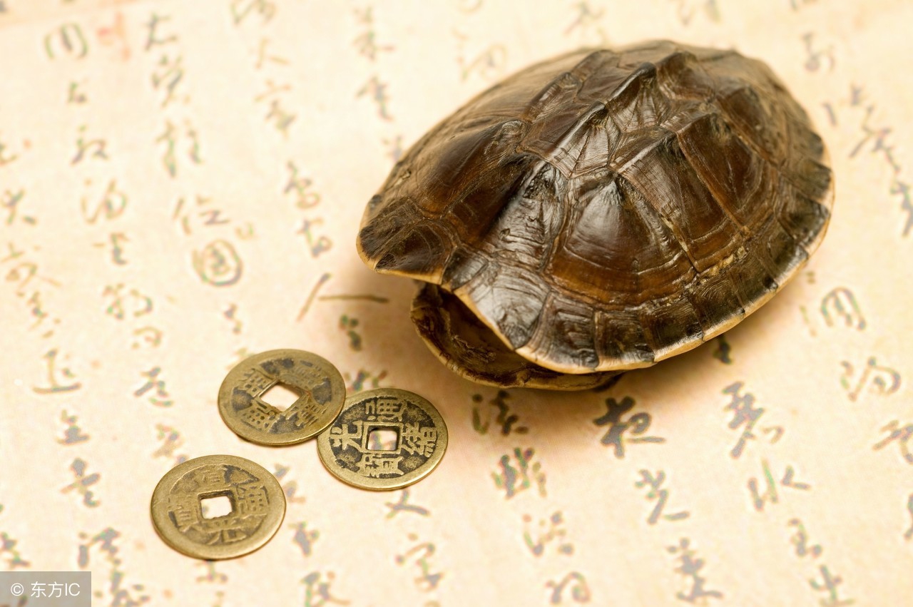 出生戊子时的人五行缺什么,戊戌时出生的男孩命运