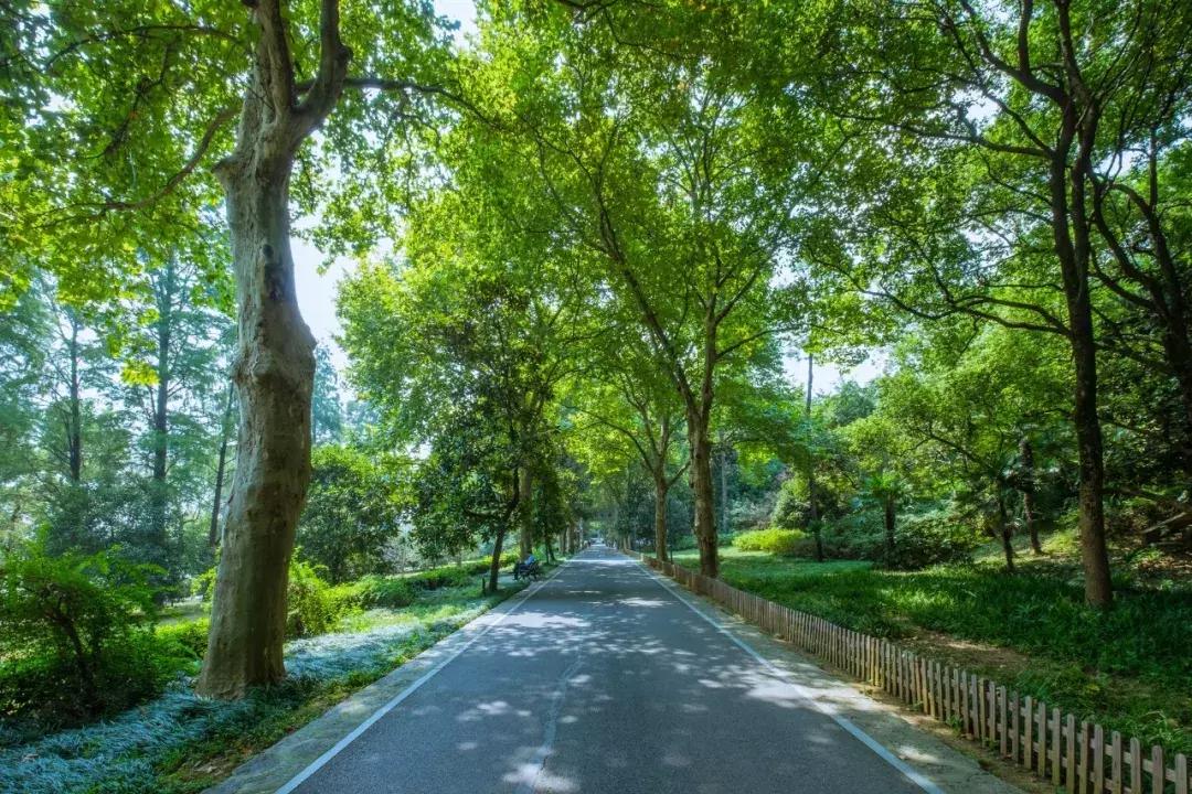 春节七天乐精彩不重样,春节7天旅游