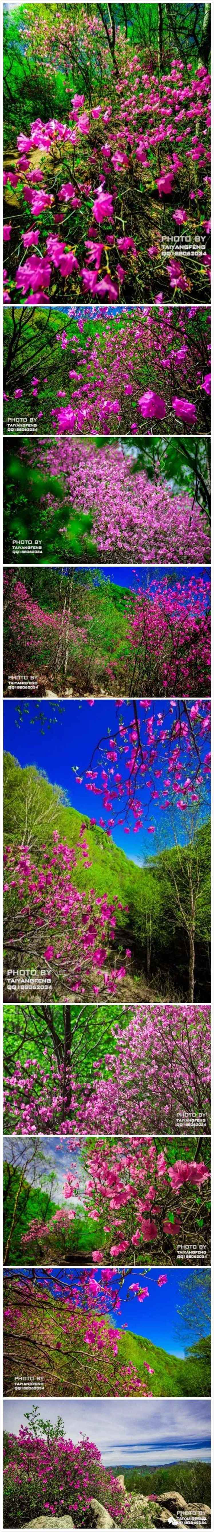 与花相约完整版,与花相约