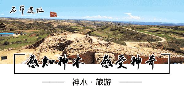 密码错误5次请在一分钟后再试,密码忘记了试了几次有一个问题