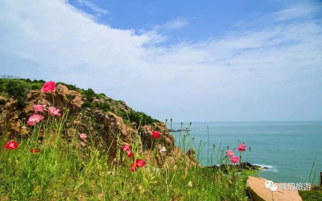 我有一座美丽的海岛,我有一座海岛免费下载