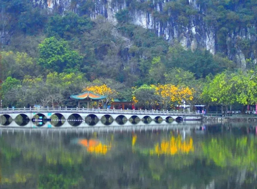 2月16到3月31免门票的地方,七星岩攻略一日游门票