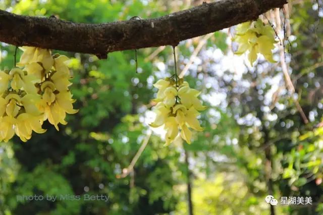 2月16到3月31免门票的地方,七星岩攻略一日游门票