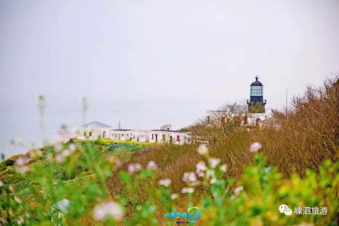 我有一座美丽的海岛,我有一座海岛免费下载