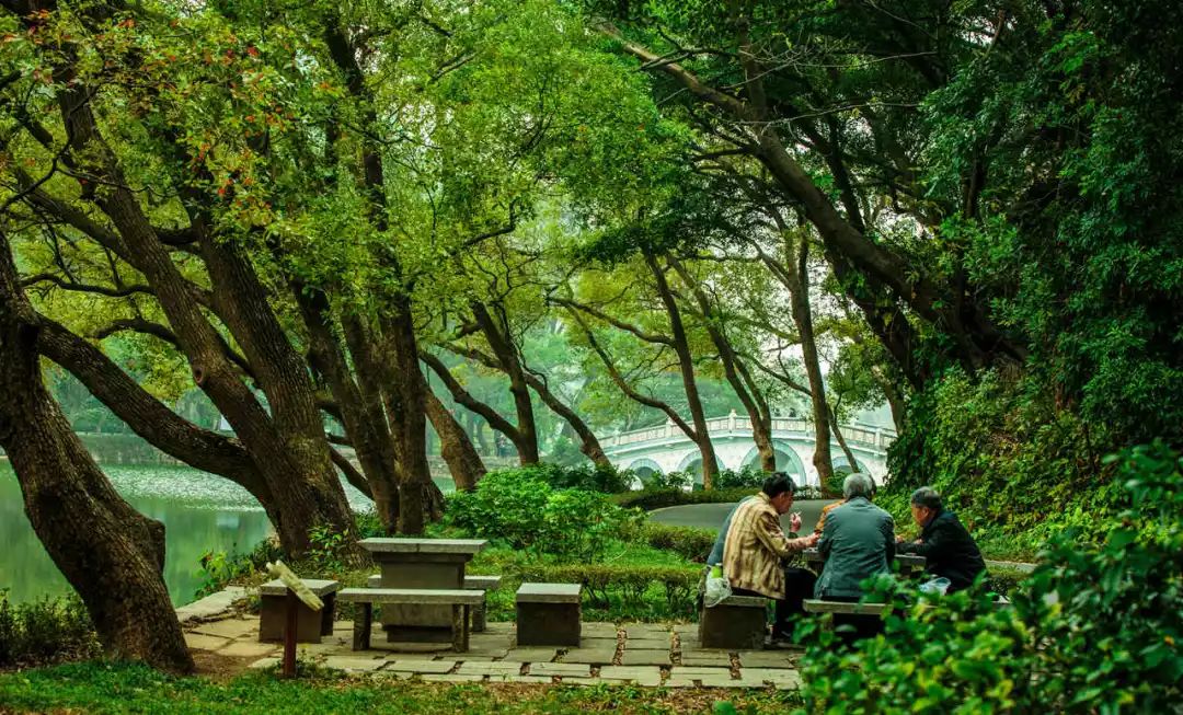 2月16到3月31免门票的地方,七星岩攻略一日游门票