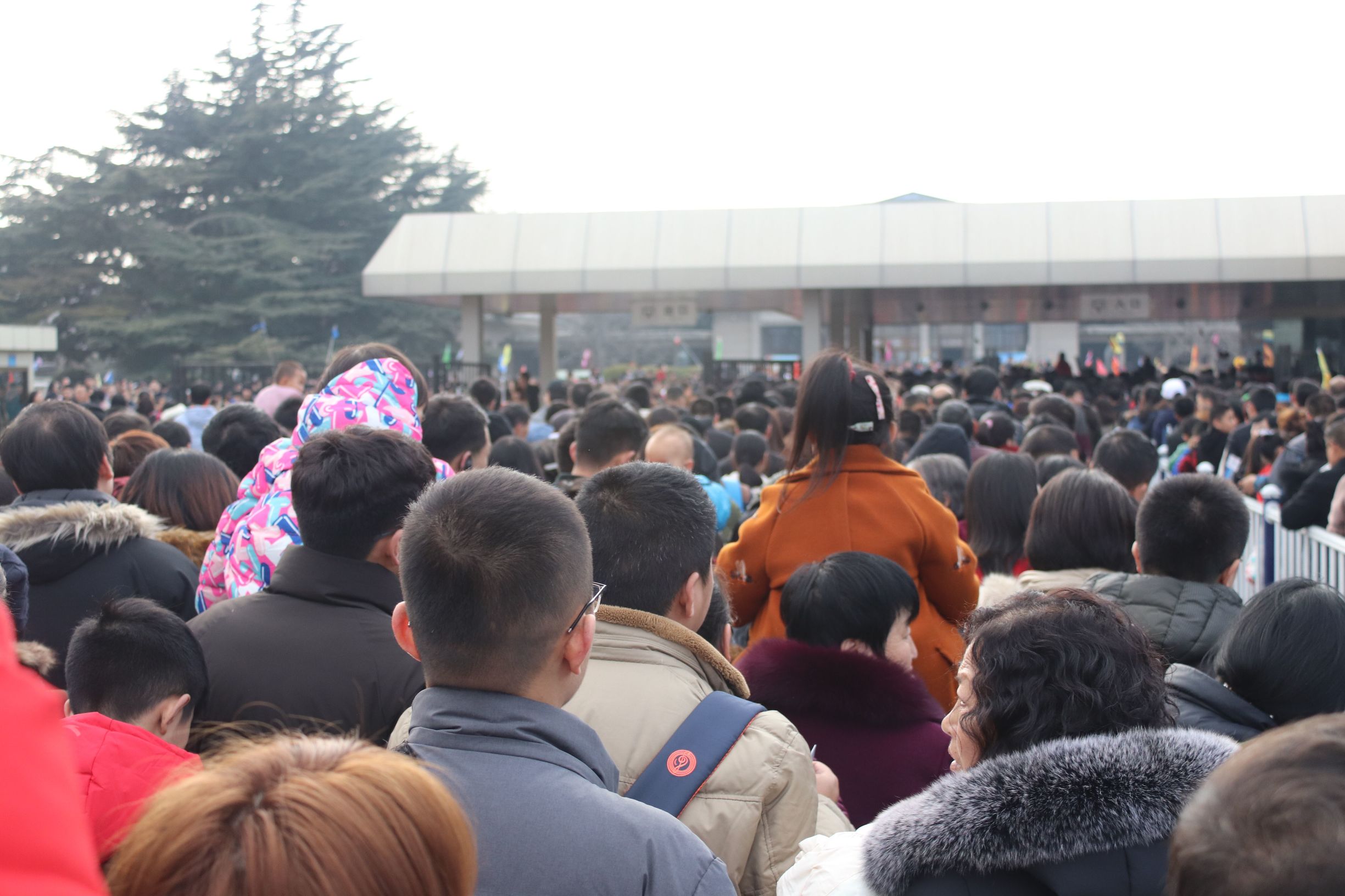 西安兵马俑景区人山人海,11万人挤爆兵马俑景区