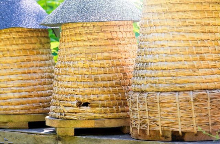 蜜蜂多箱体养殖技术讲解,多箱体叠加式养蜂法