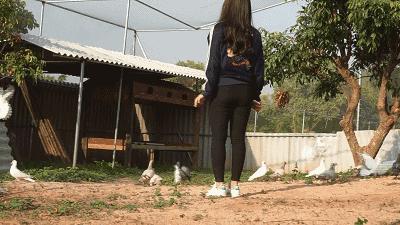 番禺农家乐一日游最佳地点,广州番禺亲子游农庄