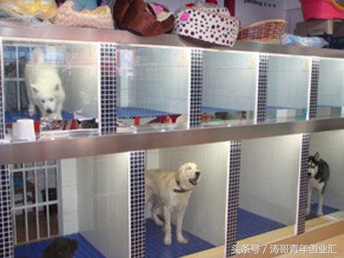 小本创业加盟赚钱点子有哪些,目前最适合投资的小本创业项目