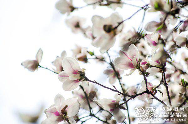 北京最全旅游攻略,北京旅游超全攻略最新