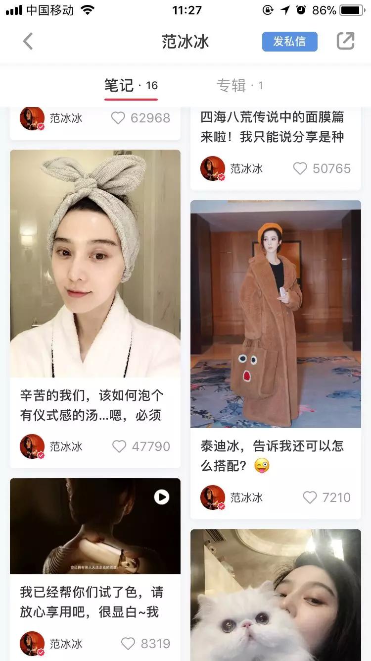 范冰冰网红美妆博主,范冰冰种草的彩妆