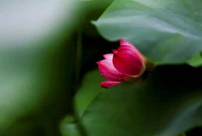 对付小人的最黑办法,如何对付小人背后说人