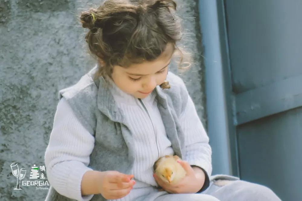 藏在山谷间的红酒小镇,藏在山谷的红酒小镇