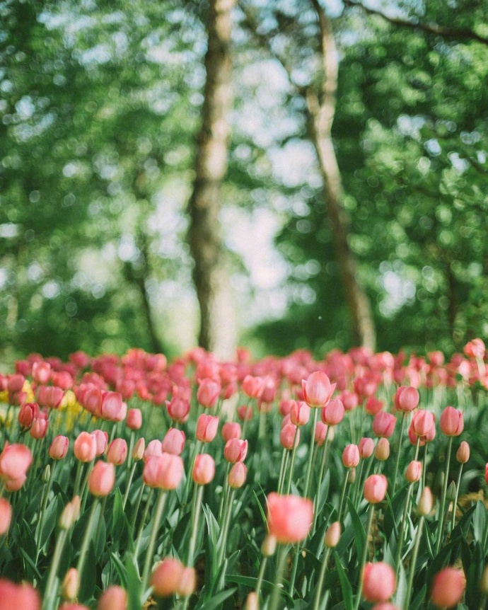 情感咨询｜栗子姐每日情感问答（0306）