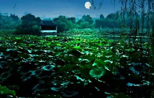 霍建华如何向林心如表白,霍建华520表白林心如