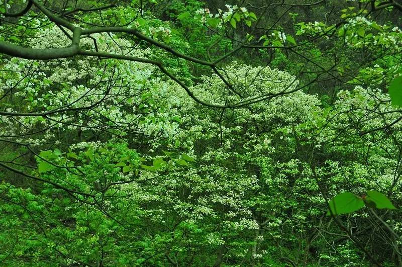 扶贫日记300字左右,扶贫日记100篇50字左右