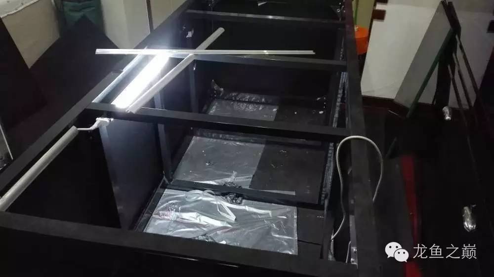 超级白，超会做，这才叫养鱼！