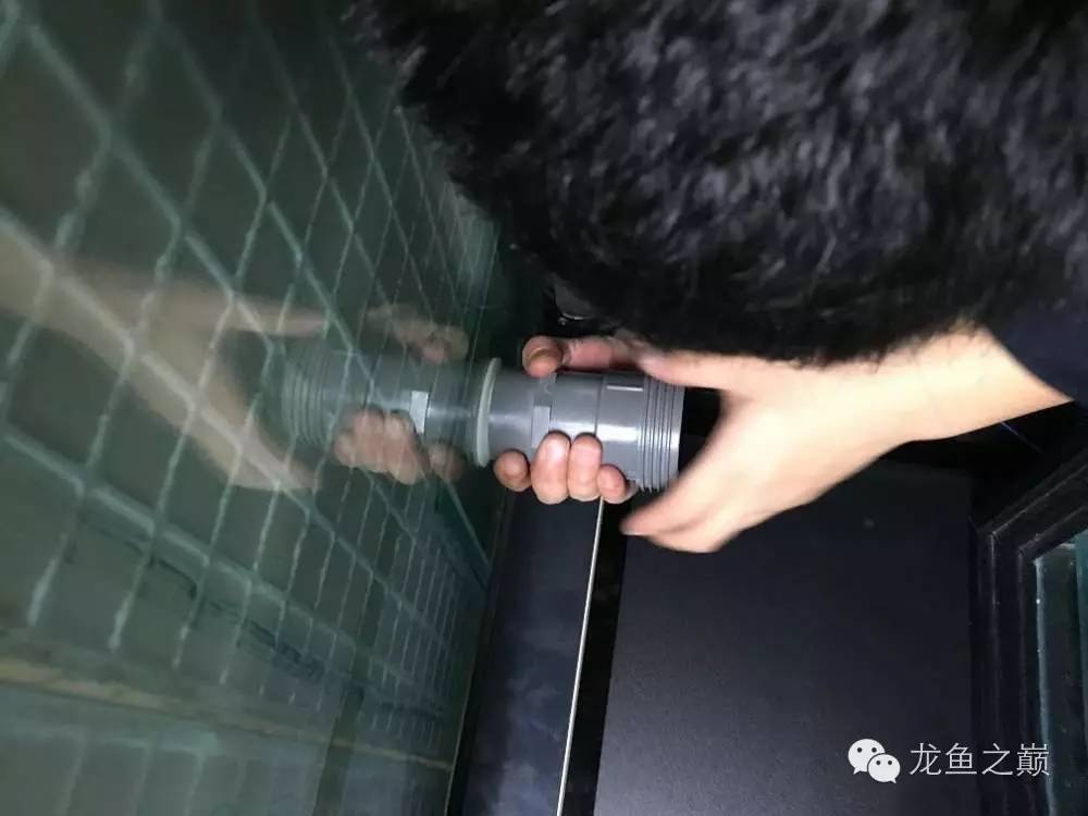 超级白，超会做，这才叫养鱼！