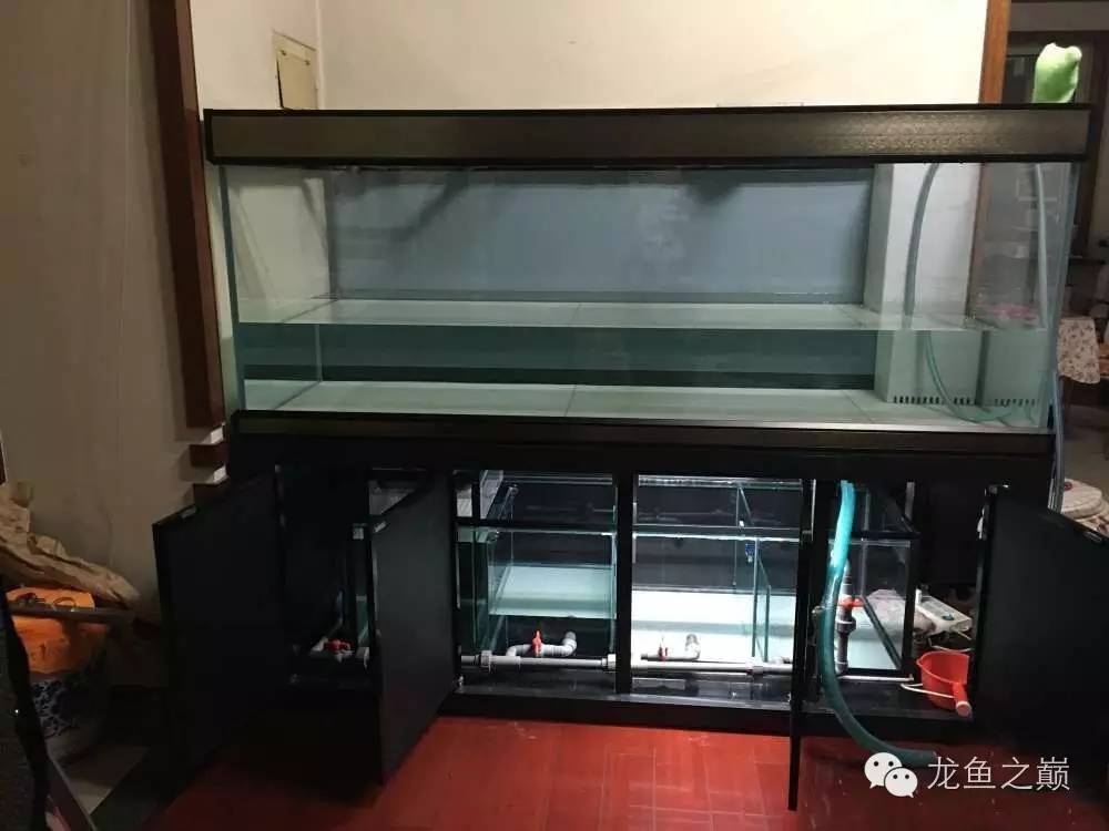 超级白，超会做，这才叫养鱼！