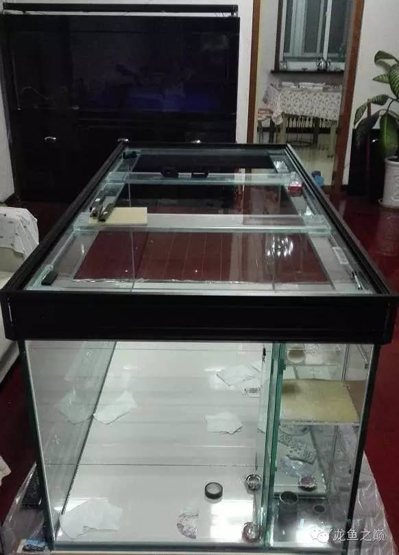 超级白，超会做，这才叫养鱼！