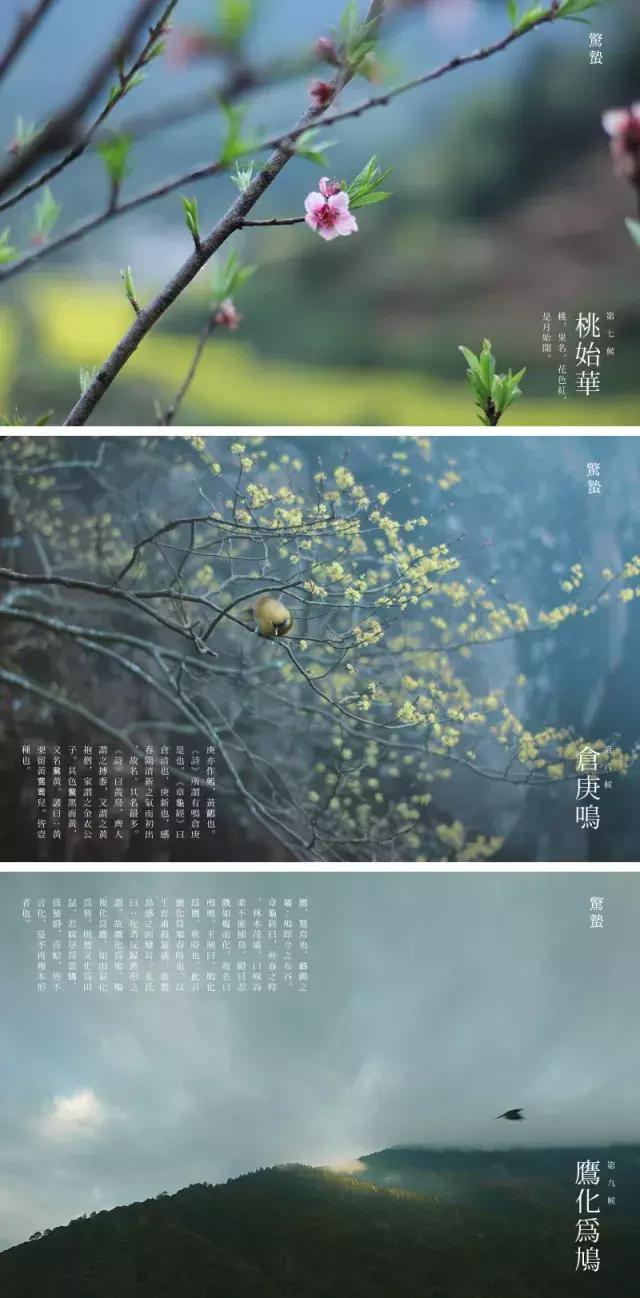 二十四节气惊蛰是哪一天,二十四节气惊蛰怎么画