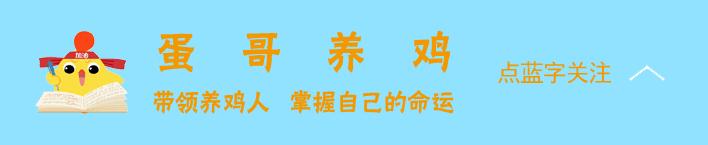 鸡得了滑液囊还能继续养吗,鸡得了滑囊炎还能治好吗