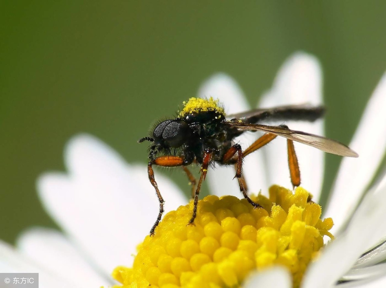 宝宝身上起丘疹麻疹怎么办,宝宝身上起荨麻疹一样的风团