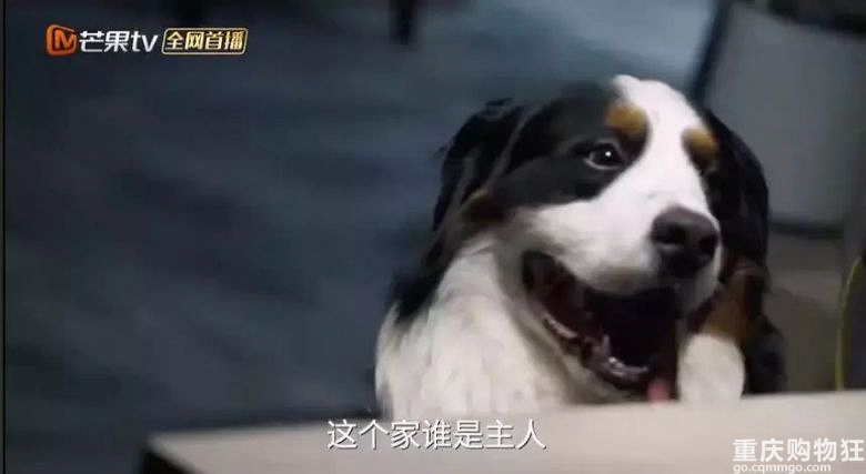 刘烨这个《老男孩》可让你家儿子省省心吧！