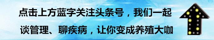猪发低烧的正确治疗方法,猪反复发低烧怎么治